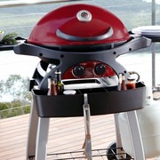 Premium Gas BBQ Grill 2 burners model