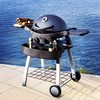Premium Gas BBQ Grill 2 burners model
